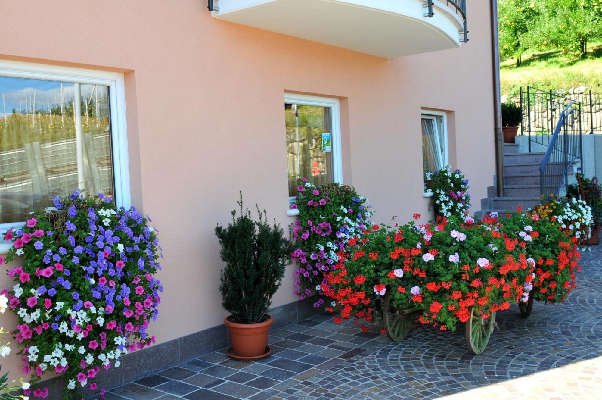 Vila Agritur Le Pergolette Tassullo Exteriér fotografie