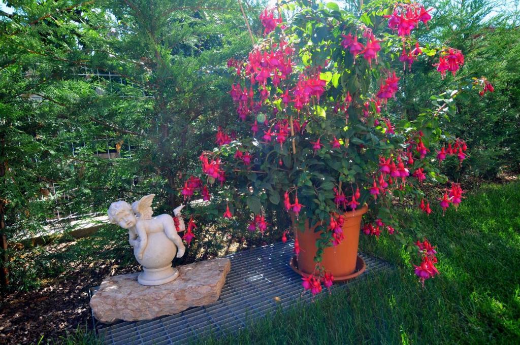 Vila Agritur Le Pergolette Tassullo Pokoj fotografie